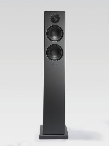 Audio Pro Addon T20 Speaker - black