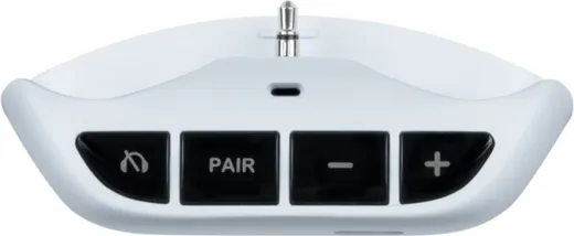 BT Wireless Audio Adaptor [PS5]