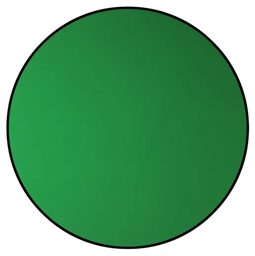 Onlan - EV-30 Expert Streaming Green Screen