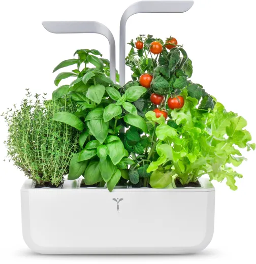 Véritable SMART - arctic white