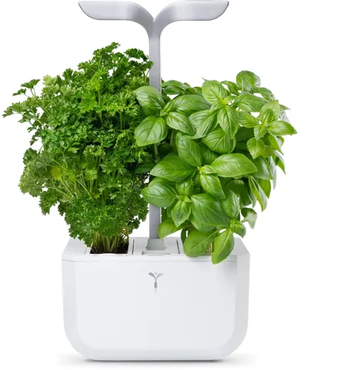 Véritable Exky SMART - arctic white