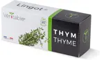 Véritable Lingot Thyme - Organic