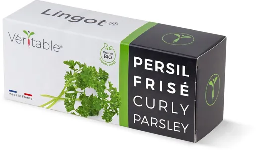 Véritable Lingot Curly Parsley - Organic