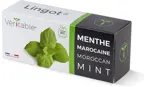 Véritable Lingot Moroccan Mint - Organic