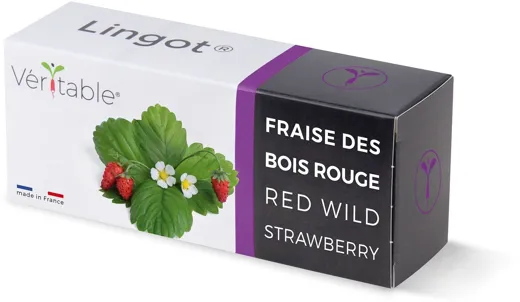 Véritable Lingot Wild Red Strawberry