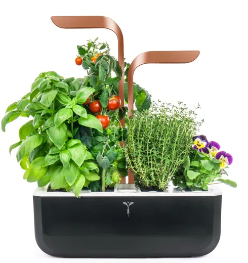 Véritable SMART - copper