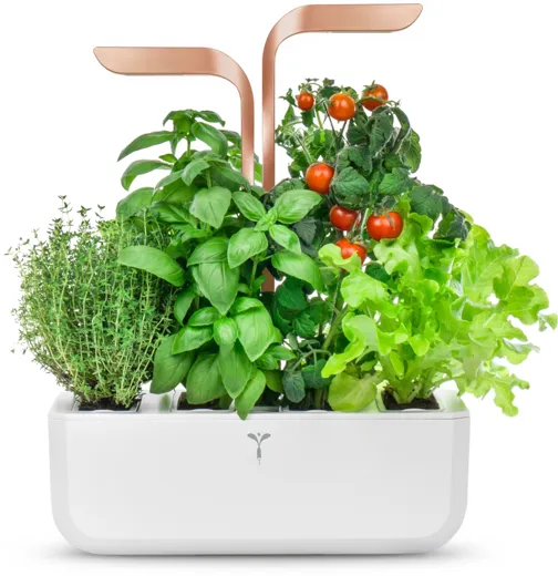 Véritable SMART - white copper