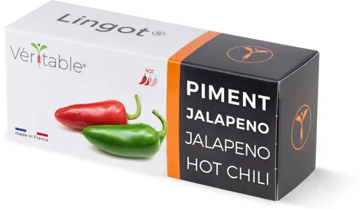 Véritable Lingot Jalapeño hot chili