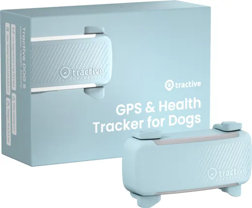 Tractive GPS DOG 6 - mint
