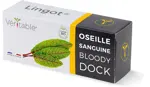 Véritable Lingot Bloody Dock