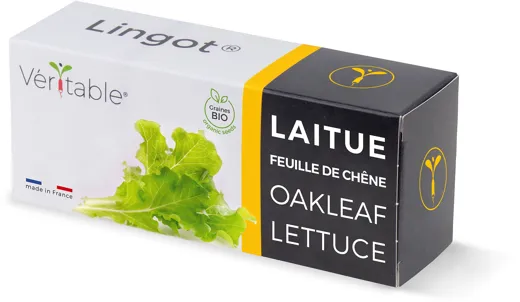 Véritable Lingot Oakleaf Lettuce  - Organic
