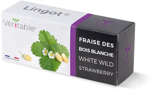 Véritable Lingot Wild White Strawberry