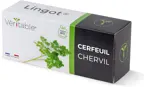 Véritable Lingot Chervil - Organic
