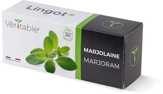 Véritable Lingot Marjoram - Organic
