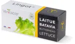 Véritable Lingot Butterhead Lettuce - Organic