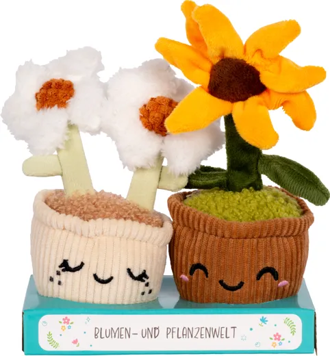 Plantset Margerite Plüsch 2er Set - Sonnenblume + Margerite [15cm]