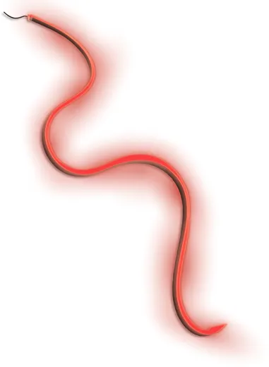 Cozze LED-Lichtstreifen für Elements Outdoor-Küchen [3m]