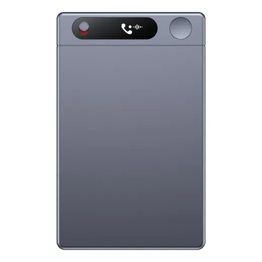 Suisse Meets Pro, Sprachaufnahmegerät für Meetings und Telefonate, 64 GB